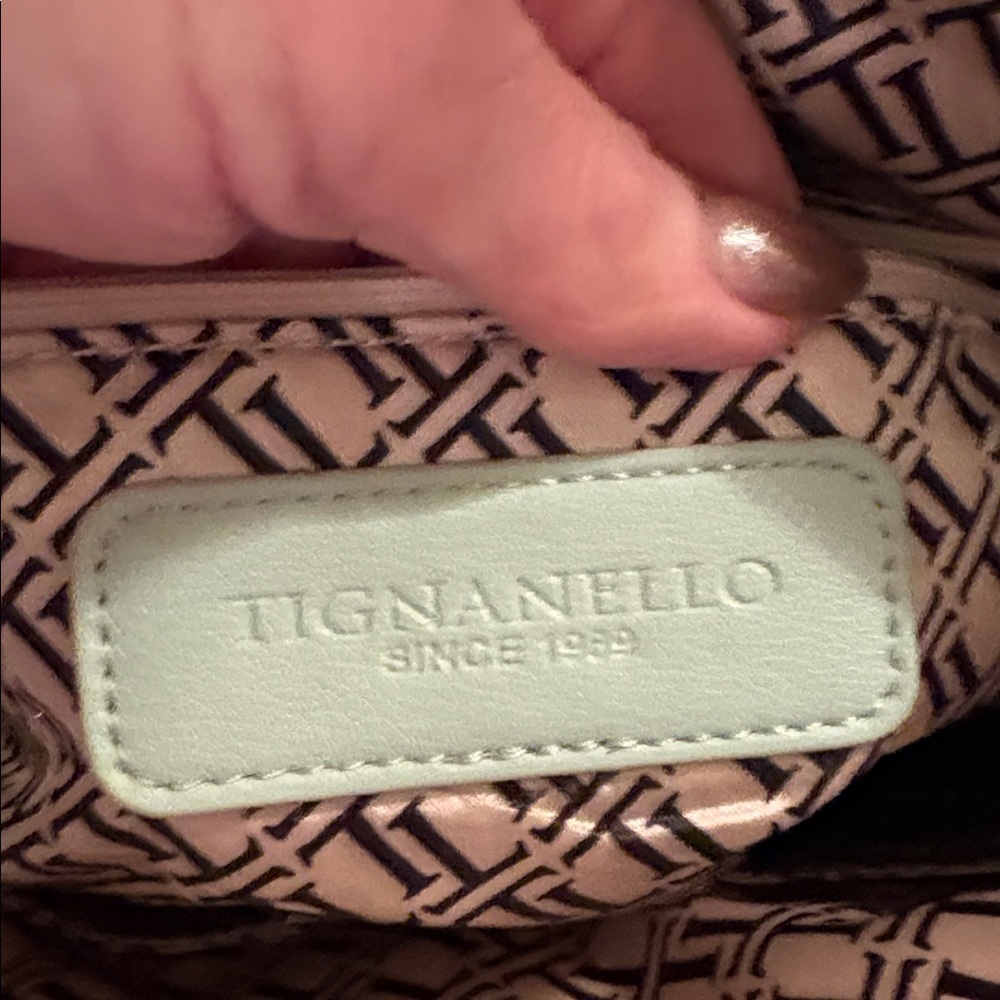 Tignanello Mint Green Leather Tote Bag with Embroidered Strap - Picture 9 of 12